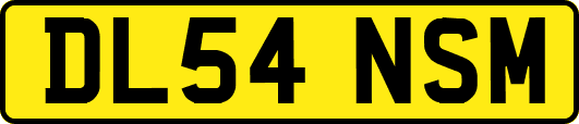 DL54NSM