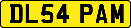 DL54PAM