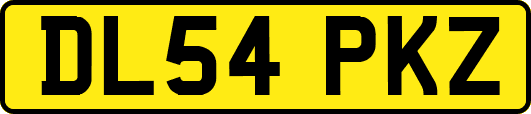 DL54PKZ