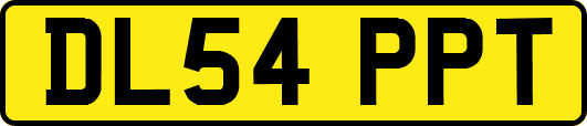 DL54PPT
