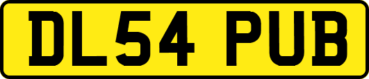 DL54PUB