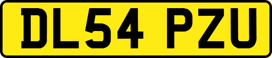 DL54PZU