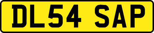 DL54SAP