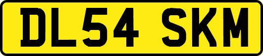 DL54SKM