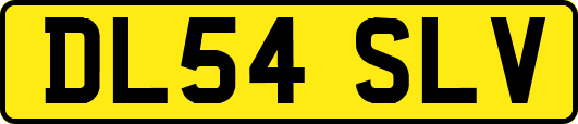 DL54SLV
