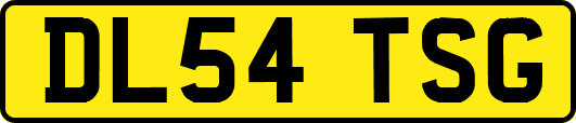 DL54TSG
