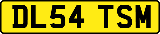 DL54TSM