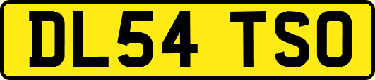 DL54TSO