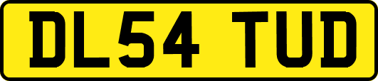 DL54TUD