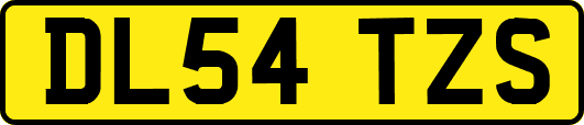 DL54TZS