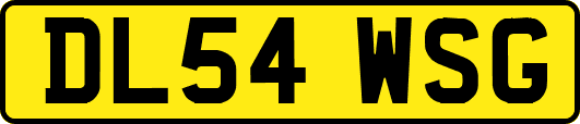 DL54WSG
