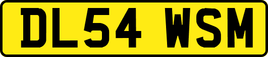DL54WSM