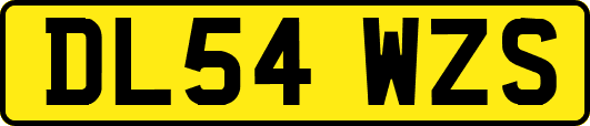 DL54WZS