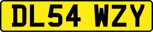 DL54WZY
