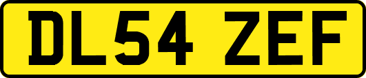 DL54ZEF