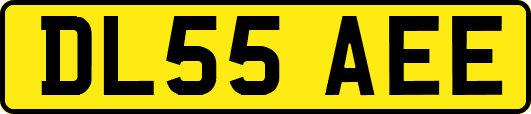 DL55AEE