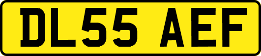 DL55AEF