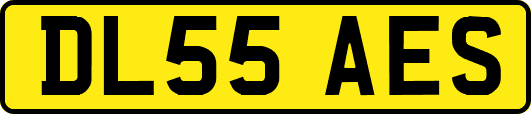 DL55AES