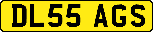 DL55AGS