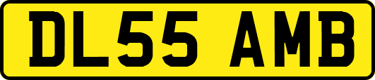 DL55AMB