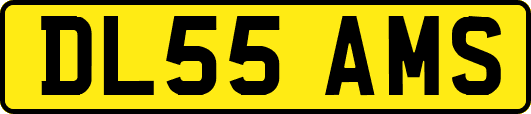 DL55AMS