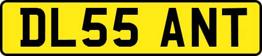 DL55ANT