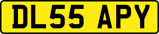 DL55APY