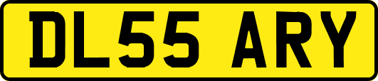 DL55ARY