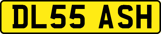 DL55ASH