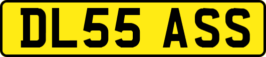 DL55ASS