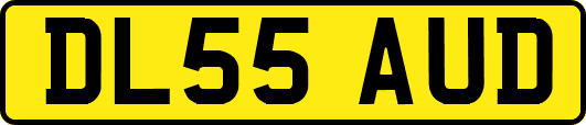DL55AUD