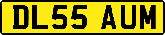 DL55AUM