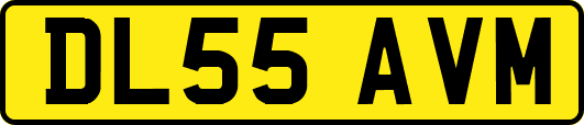 DL55AVM