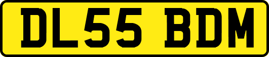 DL55BDM