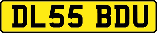 DL55BDU