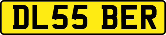 DL55BER