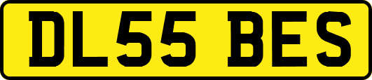 DL55BES