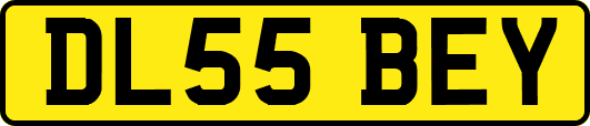 DL55BEY