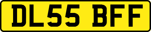 DL55BFF