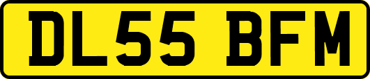 DL55BFM