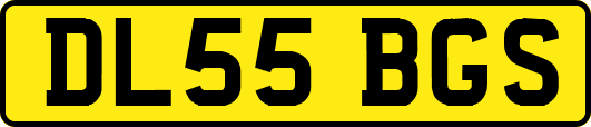 DL55BGS