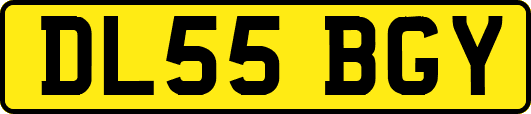 DL55BGY
