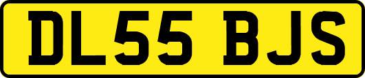 DL55BJS