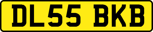 DL55BKB