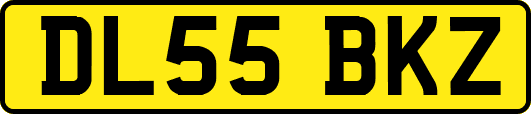 DL55BKZ