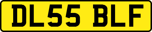 DL55BLF