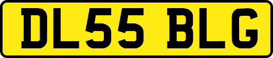 DL55BLG