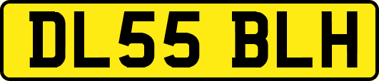 DL55BLH