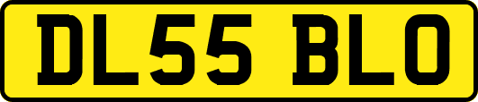 DL55BLO