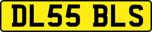DL55BLS